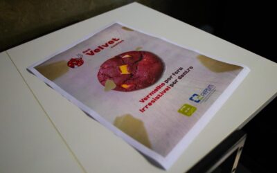 Projeto de Cidadania – Resultado do ato eleitoral