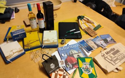 Job Shadowing na Finlândia